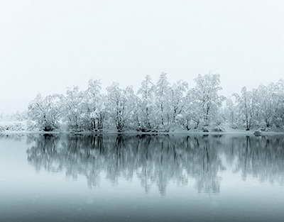 Президент Тошкентда Ислом цивилизацияси марказининг очилишида қатнашди