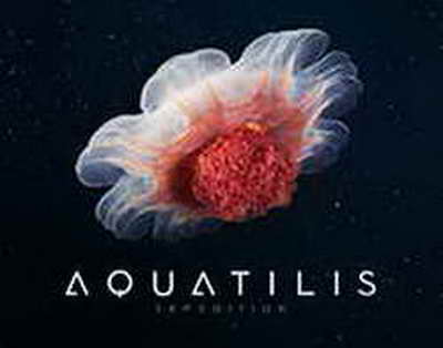 Bakıdakı güllələnmənin DETALLARI